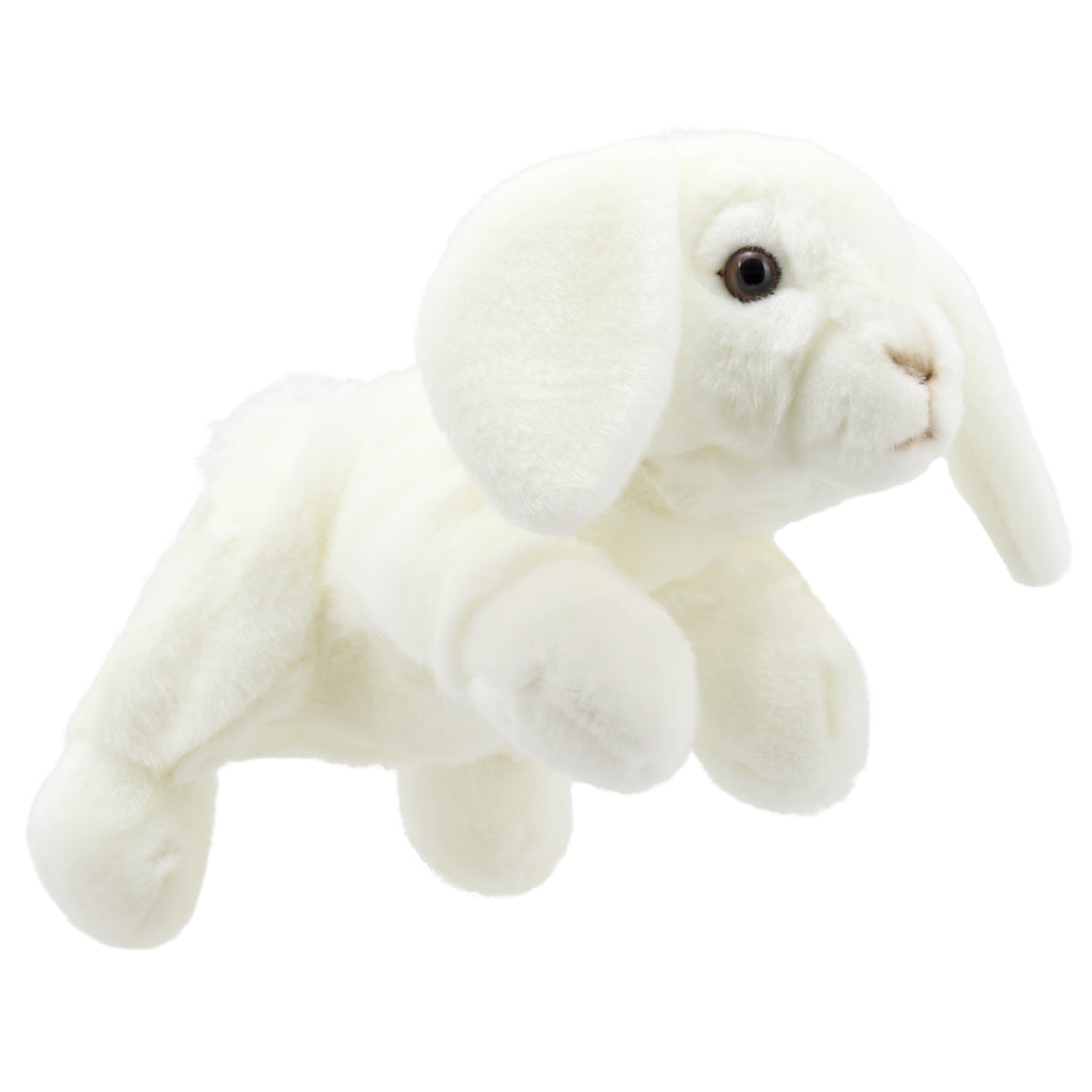 P295-PC001829-marionnette-Lapin-Lop-Eared--Blanc-The-Puppet-Company-Full-Bodied-Animal-Puppets