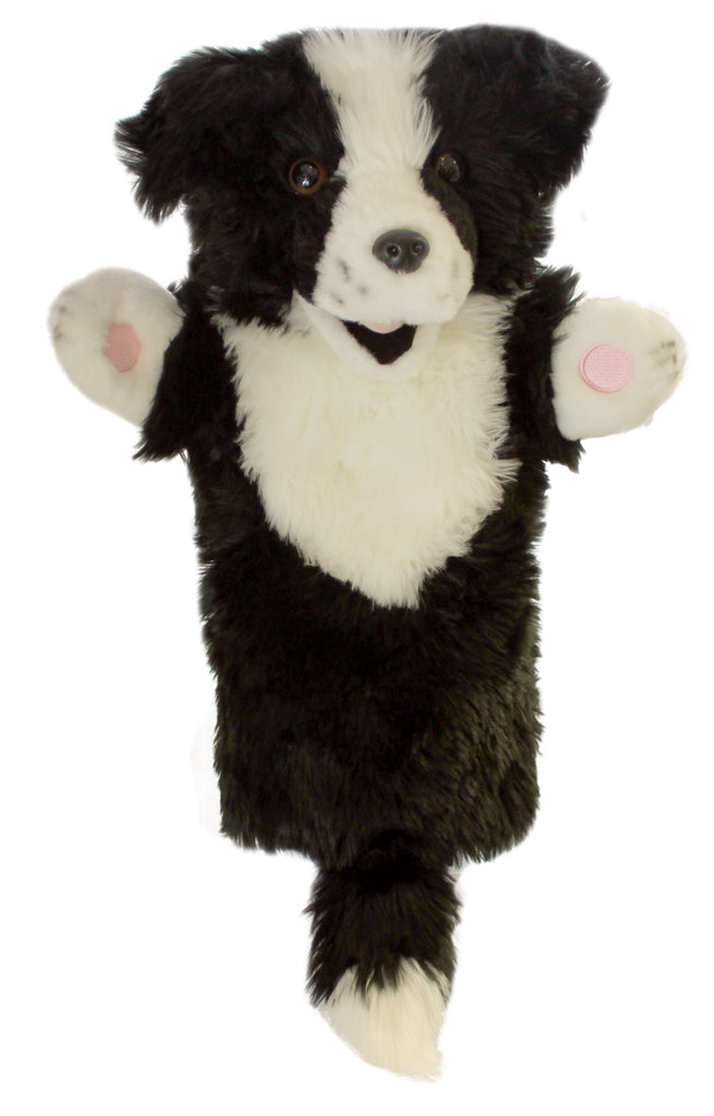 P352-PC006006-marionnette-Border-collie-The-Puppet-Company-Long-Sleeved-Glove-Puppets