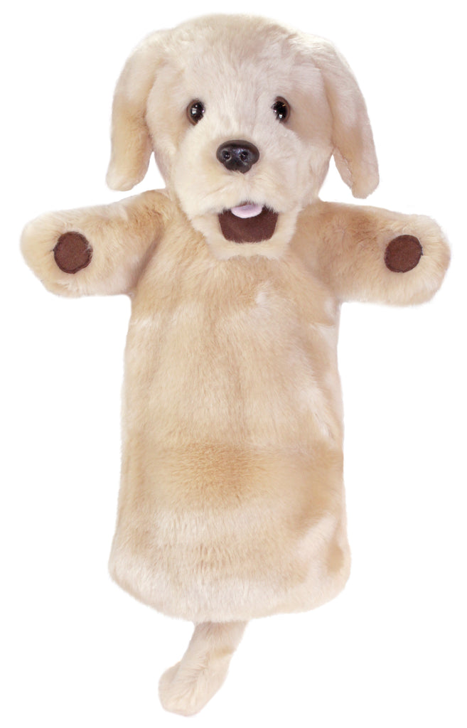 P372-PC006016-marionnette-Labrador-jaune-The-Puppet-Company-Long-Sleeved-Glove-Puppets