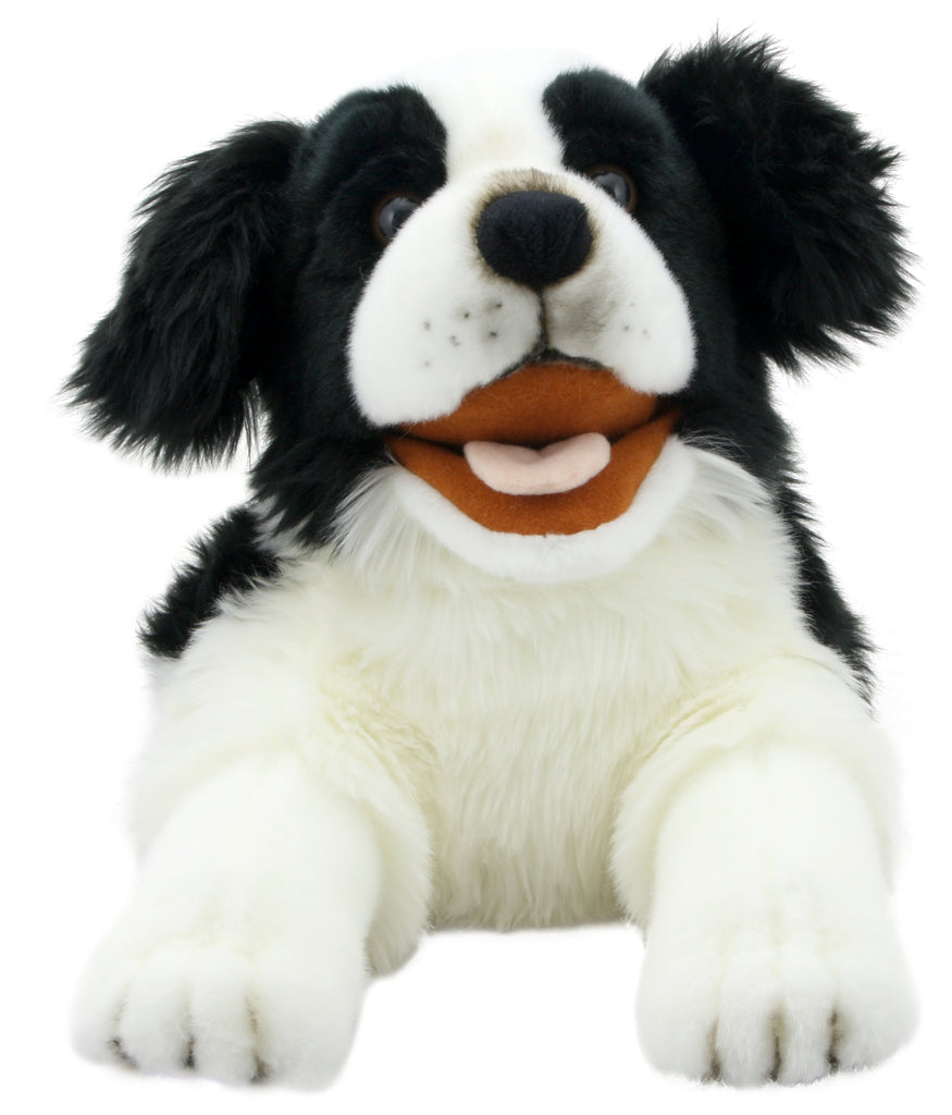 Marionnette ventriloque chien Wiwaldi