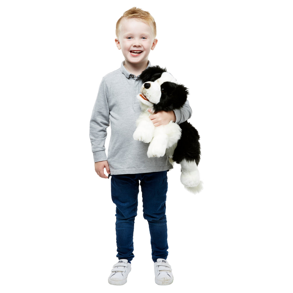 P455-PC003007-marionnette-Border-collie-The-Puppet-Company-Playful-Puppies